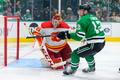 NHL Calgary Dallas Faksa