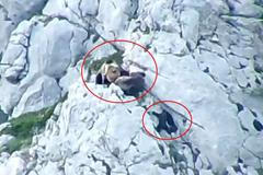 Medvěd napadl medvědici s mládětem. Pak spadl z útesu