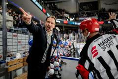 hokej, Pavel Gross, Mannheim