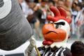 fotbal, brazilská liga, maskot Atlétika Mineiro