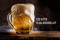 Co vite o alkoholu poutak