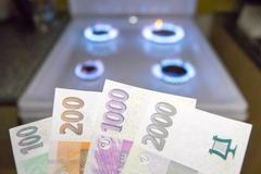 Ilustrační foto - energie, plyn, plynoměr, peníze, sporák, vaření, náklady