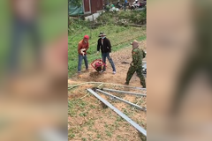 Zdivočelý vrták uvízl v zemi, kočka spí ve váze a ryzí psí přátelství