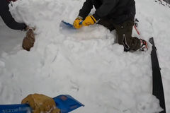 Pes uvíznul pod lavinou, podařilo se ho zachránit až po 20 minutách