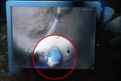 Dítě v Maroku spadlo do jámy