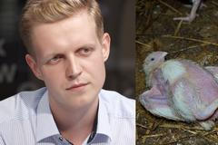 Kuřata jsou mrzáci odsouzení trpět. Důstojné podmínky cenu masa nenavýší, říká Trojan