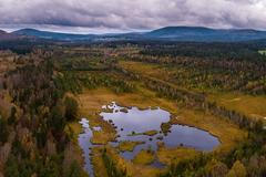 Soumarské rašeliniště, Šumava