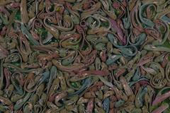 Nominace na ceny Czech Nature Photo 2022