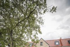 Stavení s červenou pumpou/ Říp