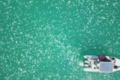 Invaze žahavých tvorů. Tisíce medúz u izraelského pobřeží zachytil dron