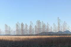 Tomáš Chadim, fotograf, kniha Znásilněná krajina, tvůrčí fotografie, umění, Institut tvůrčí fotografie