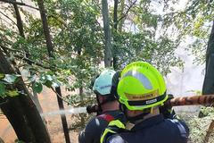 Požár v Národním parku České Švýcarsko, 24. 7. 2022