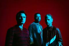 Muse