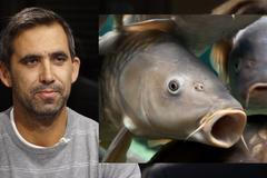 Z rybníků jsou dnes už jen kádě na kapry, kteří nemají žádnou kvalitu, říká Sedláček