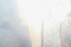 Hasiči požár Broumovsko les