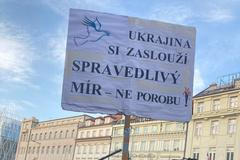 Osmdesátiletý muž přisel na demonstraci s transparentem na podporu vlády