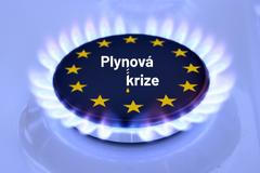 Plynová krize