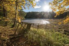 Podnikatel Jan Čulík, Tábor, výlov kaprů, biokapr, vaření, kuchyně, restarauce, gastro, podzim, ilustrační foto, počasí