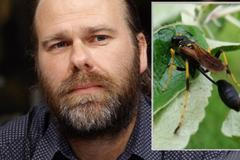 Invazní druhy? Je to obrovský problém, klimatická změna jim pomáhá, říká entomolog