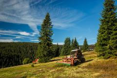 Sekání borůvek v Krkonoších