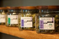 Legální pěstování marihuany v Kanadě