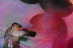 Justin Mortimer, 2022