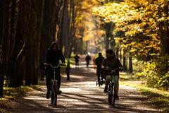 počasí podzim listí