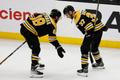 NHL: Dallas Stars at Boston Bruins