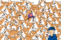 Pocta královně. Najdete v nové optické iluzi mezi desítkami corgiů tři krajíce chleba?