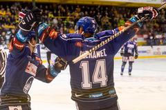 Tomáš Plekanec se raduje z vítězné branky Kladna