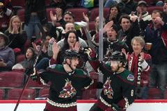 NHL hokej Arizona Coyotes