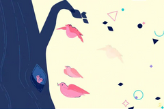 Ženská tvář, nebo ptáci? Optická iluze prozradí, jestli jste komunikativní člověk