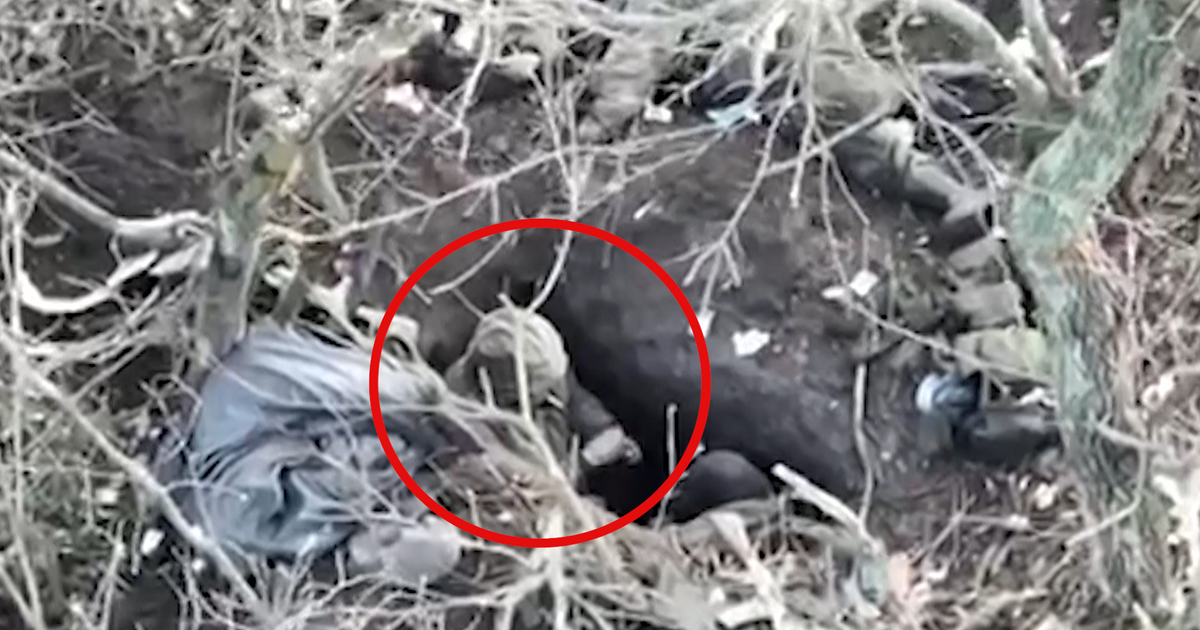 „Rusové se psychicky hroutili.“ Ukrajinci ukázali tvrdou realitu úspěšné ofenzivy