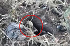 Operátoři dronů neustále lovili ruskou techniku při rotacích a zásobování. Masivní nasazení moderních FPV dronů řízených přes optické vlákno (na něž jsou běžné rušičky krátké) udělalo z ruských zákopů peklo.