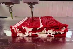 „Vrstva po vrstvě. Ucítíte i chuť krve.“ Izraelci tisknou ve velkém steaky a roštěnce