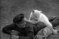 Polárka Zoo Praha lední medvěd