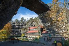 Požár v Národním parku České Švýcarsko, tři měsíce poté