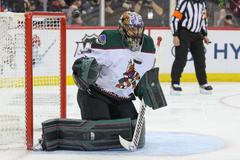 NHL Arizona Karel Vejmelka