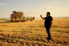 Bulhaři mírní světovou krizi s pšenicí. Sami budou jíst obilí pro zvířata