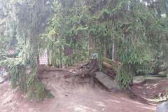 Kořen, Zdena Novotná, Řídelov