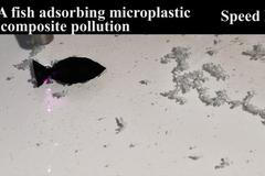 Robotická ryba Čína