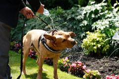 horko vedro počasí rekord teplo léto prázdniny koupání