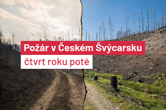 Požár v Českém Švýcarsku - čtvrt roku poté - poutak