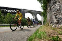 Tour de France 2022, Tadej Pogačar