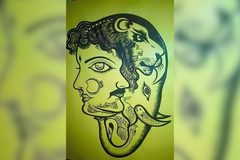 Jedenáct zvířat mezi lidským obličejem. Dokážete je najít za 21 sekund?