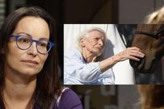 Kůň navštěvuje nemocné seniory: Dává radost z dotyku, říká o “jednorožci” cvičitelka