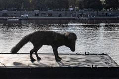 František Skála: Vulpes Gott