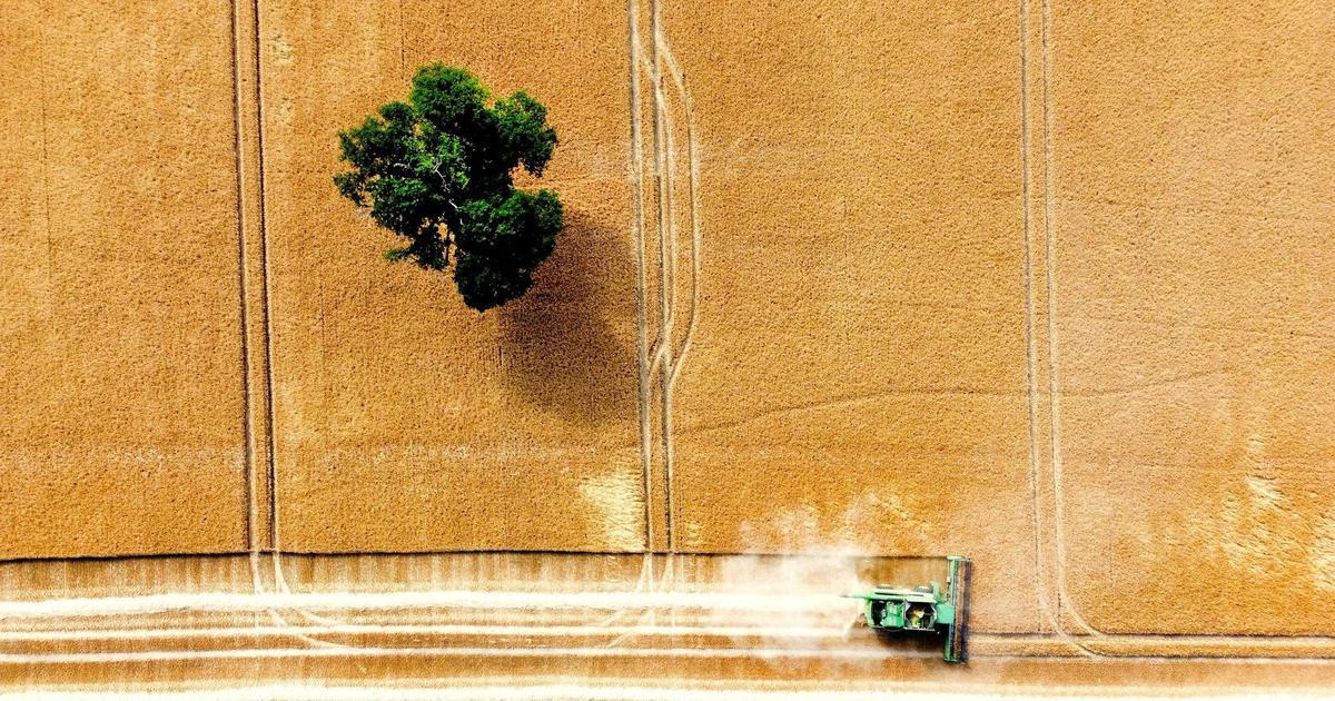 Tři nejvyšší stupně sucha panují na 88 procentech území Česka
