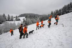 Myslivec, myslivecký hon, Velké Karlovice, československá hranice, fotoreportáž, domácí