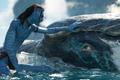 Avatar: The Way of Water, detail